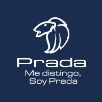 prada linkedin